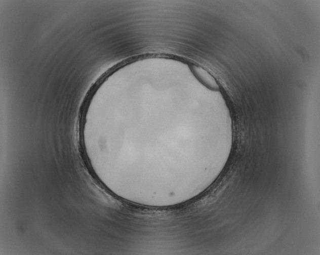 X0000111241076200907301302