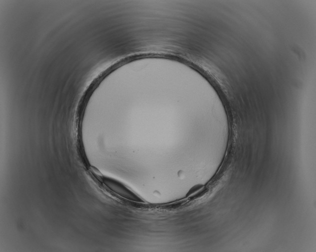 X0000111241077200907301302