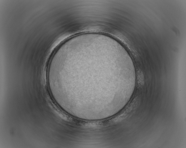 X0000111241078200907301302