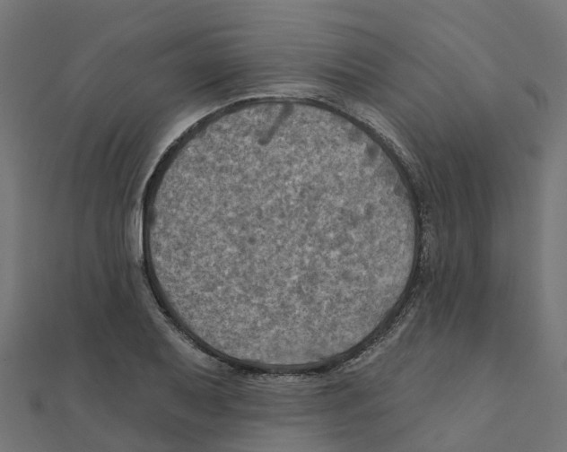 X0000111241079200907301302