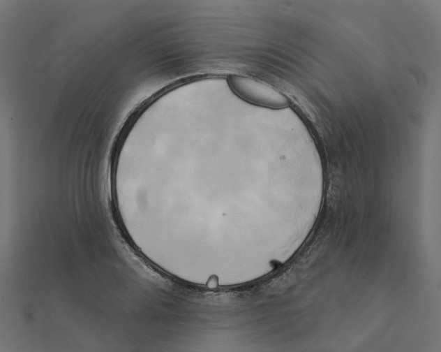 X0000111241080200907301302