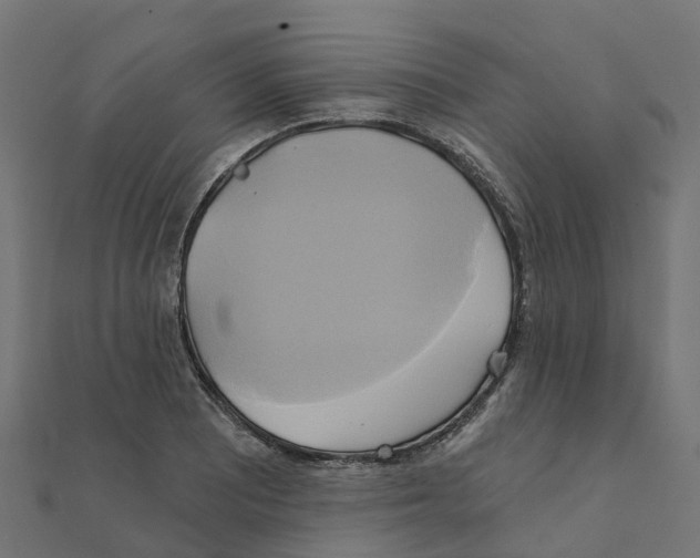 X0000111241081200907301302