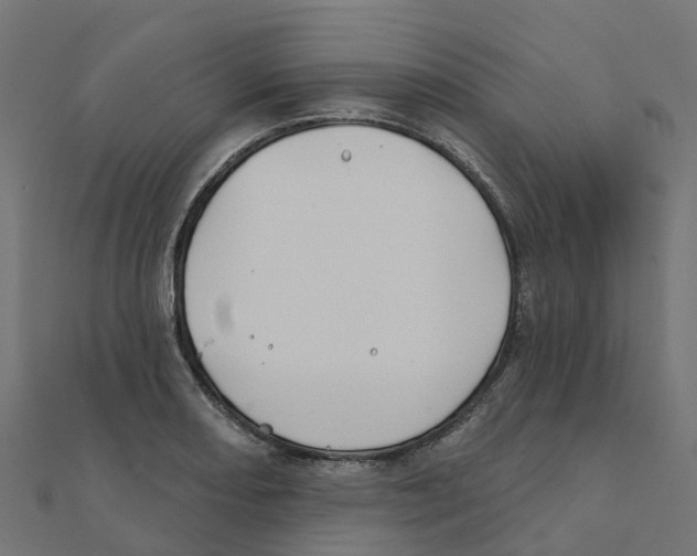 X0000111241082200907301302