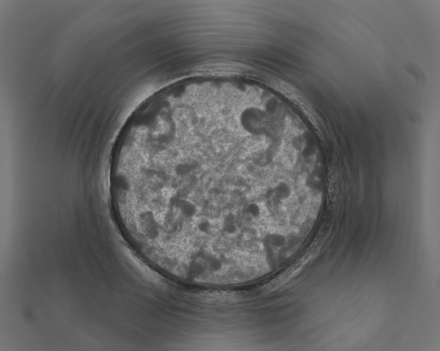 X0000111241083200907301302