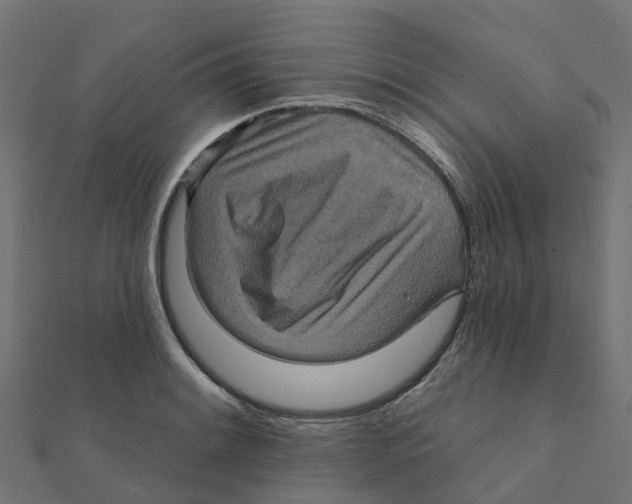 X0000111241084200907301302