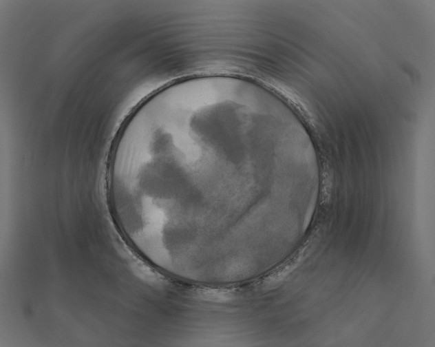 X0000111241086200907301301