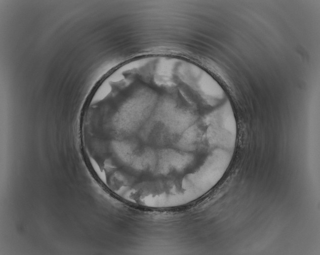 X0000111241087200907301301