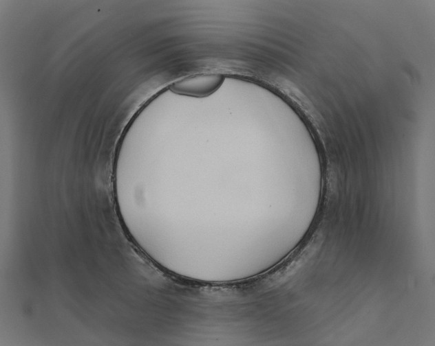 X0000111241089200907301301
