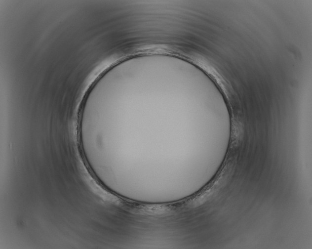 X0000111241090200907301301