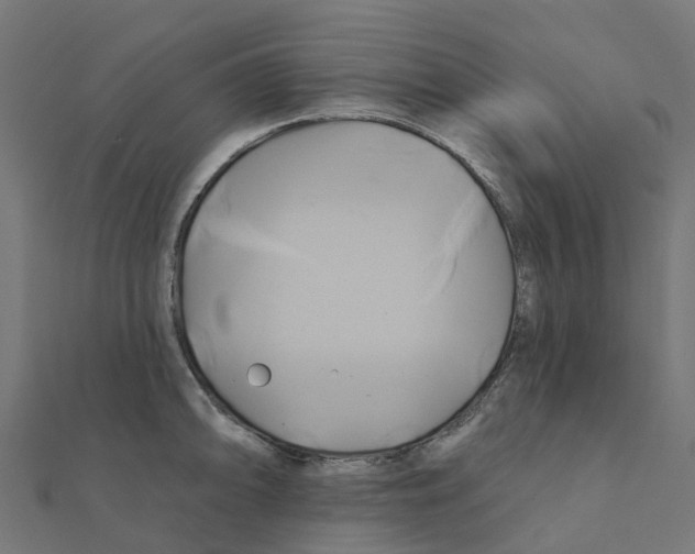 X0000111241094200907301301