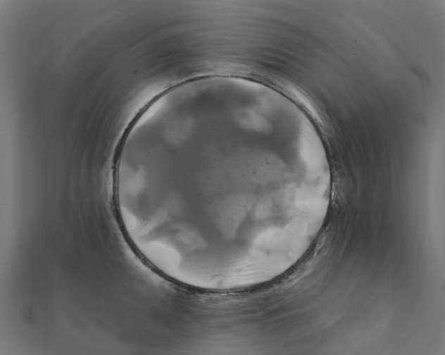 X0000111241095200907301301