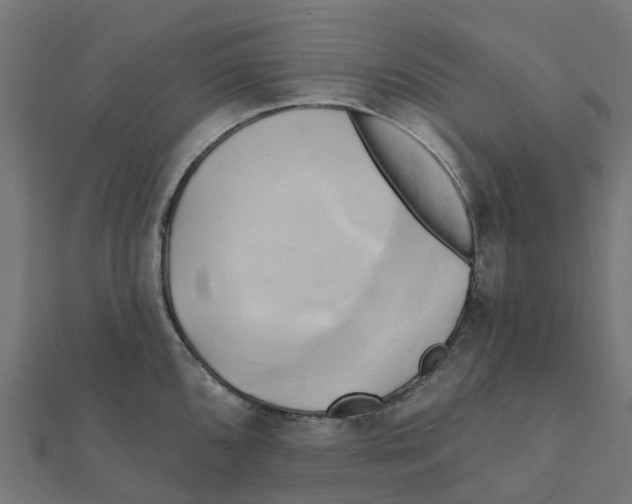 X0000111241096200907301301