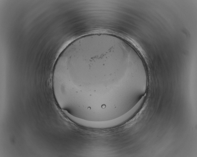 X0000111241097200907301301