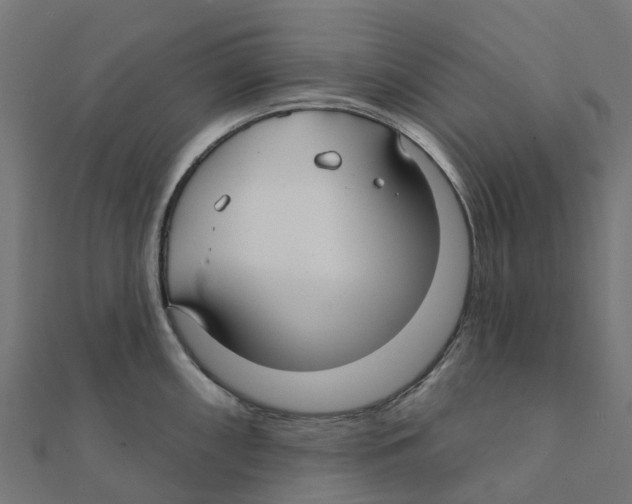 X0000111241098200907301301