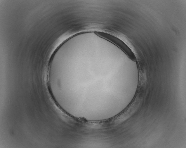 X0000111241101200907301301