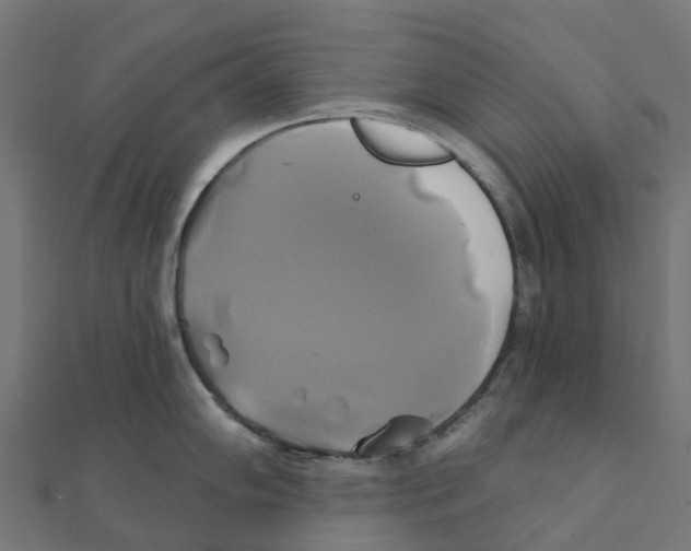 X0000111241102200907301301