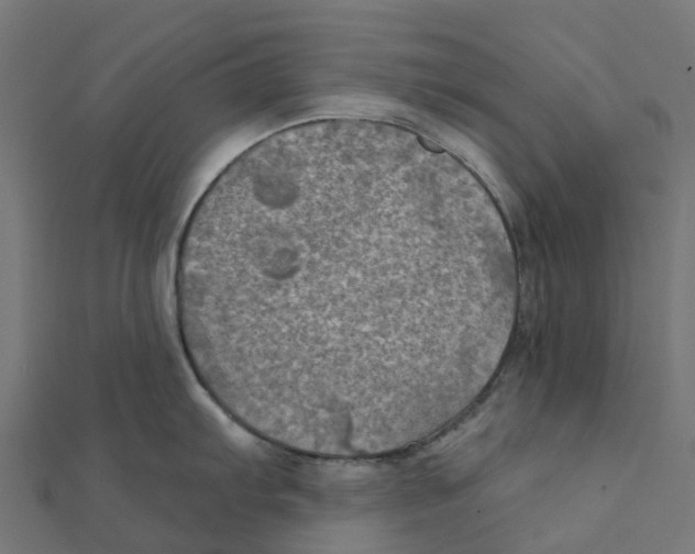 X0000111241103200907301301