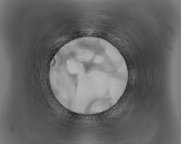 X0000111241105200907301301