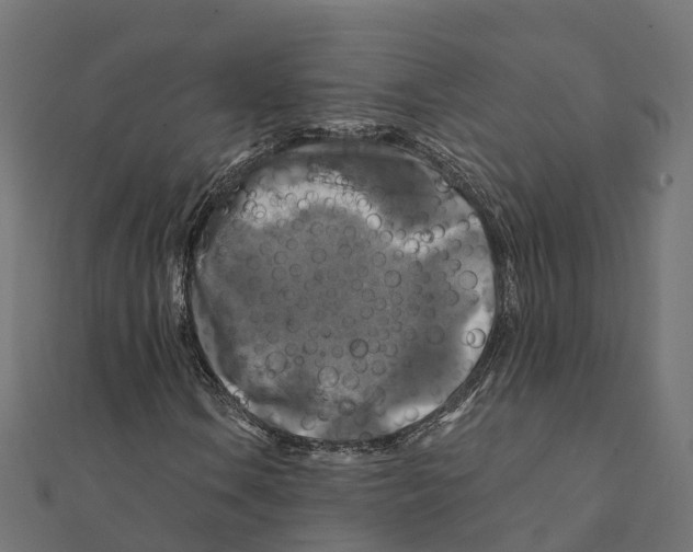 X0000111241106200907301301