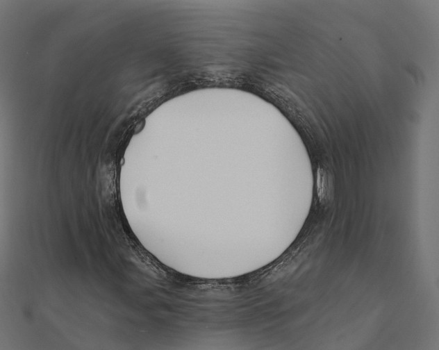 X0000111241107200907301301