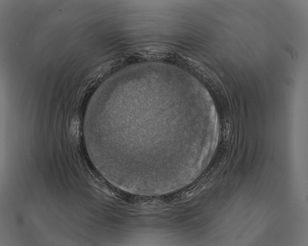 X0000111241108200907301301