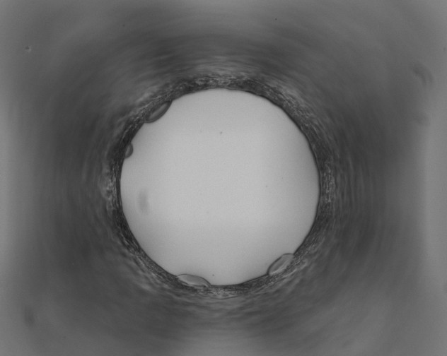 X0000111241109200907301301