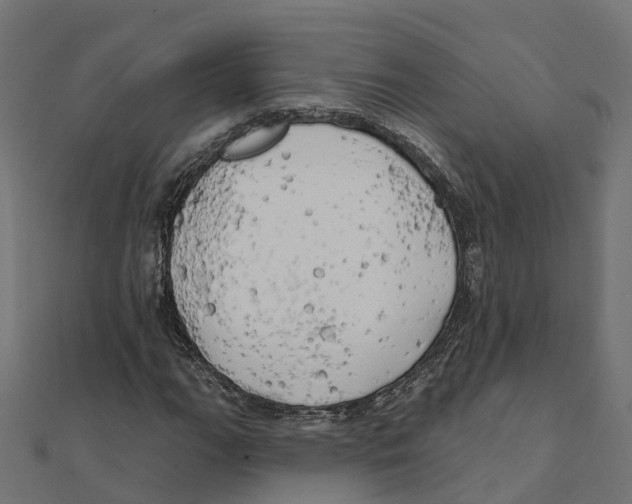 X0000111241111200907301301