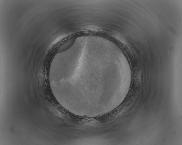 X0000111241112200907301301