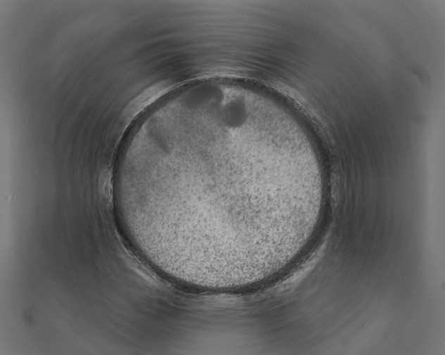 X0000111241113200907301301