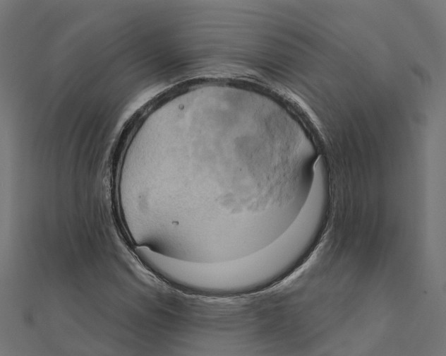 X0000111241114200907301301