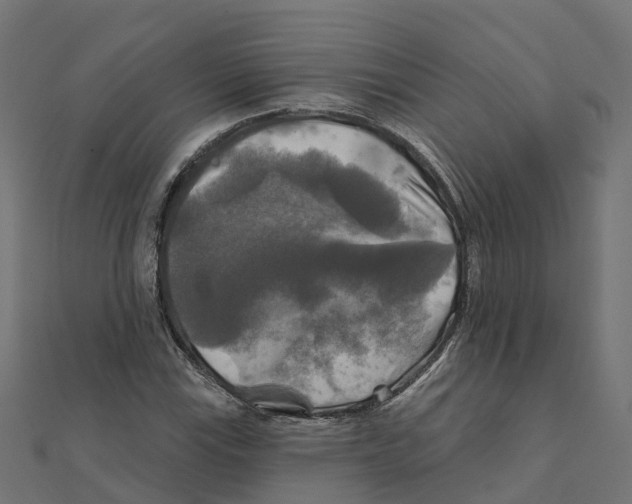X0000111241115200907301301