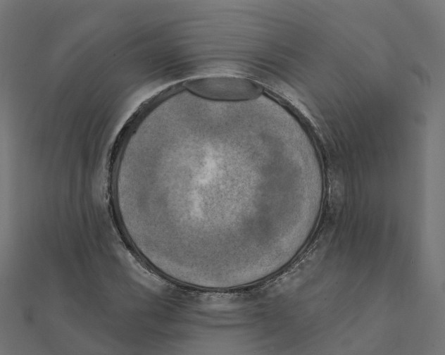 X0000111241116200907301301