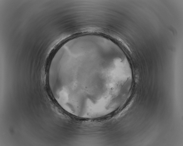X0000111241117200907301301