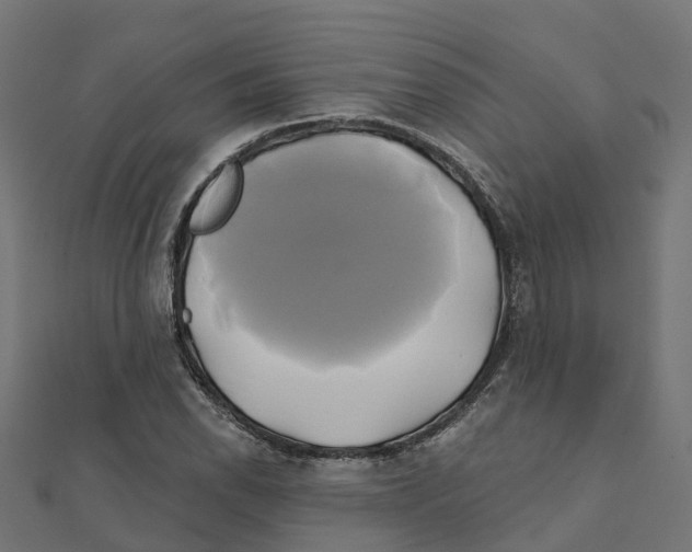 X0000111241118200907301301