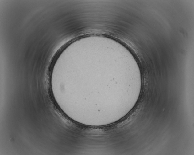 X0000111241119200907301301