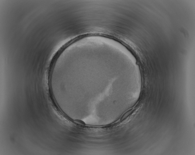 X0000111241120200907301301