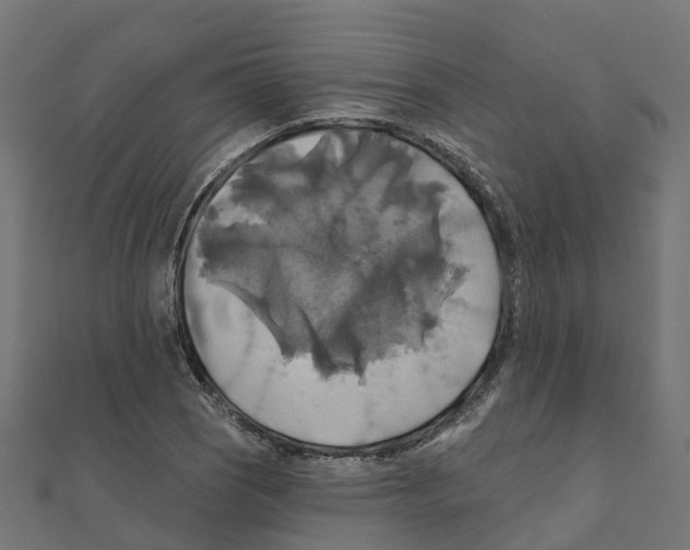 X0000111241121200907301301