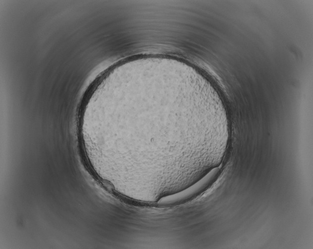 X0000111241122200907301301