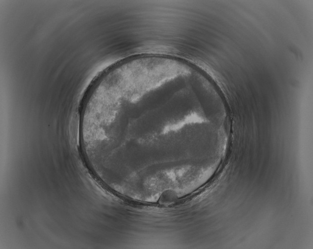 X0000111241123200907301301