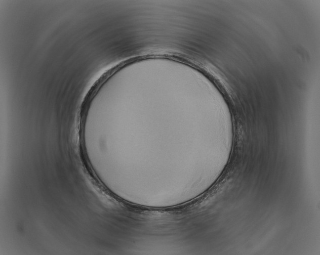 X0000111241124200907301301