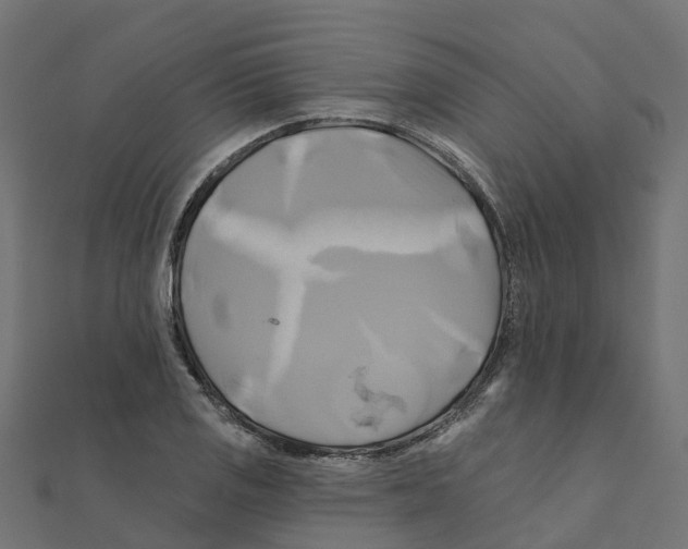 X0000111241125200907301301
