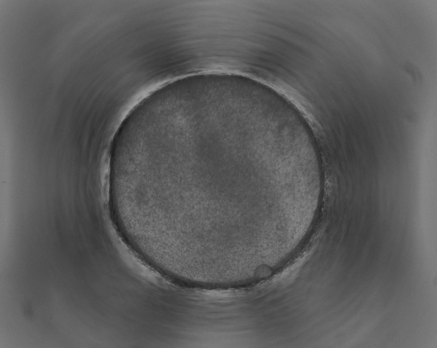X0000111241126200907301301