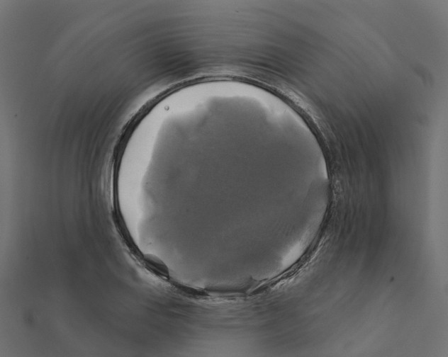 X0000111241127200907301301