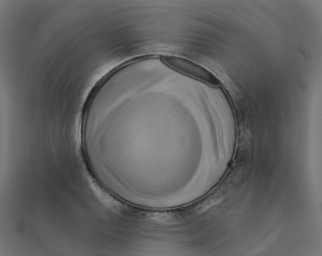 X0000111241128200907301301