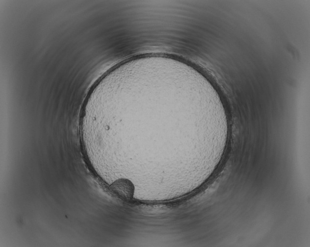 X0000111241129200907301301