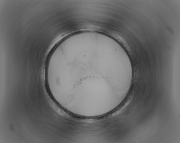 X0000111241130200907301301