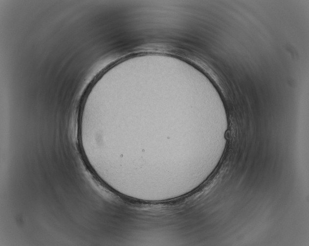 X0000111241131200907301301