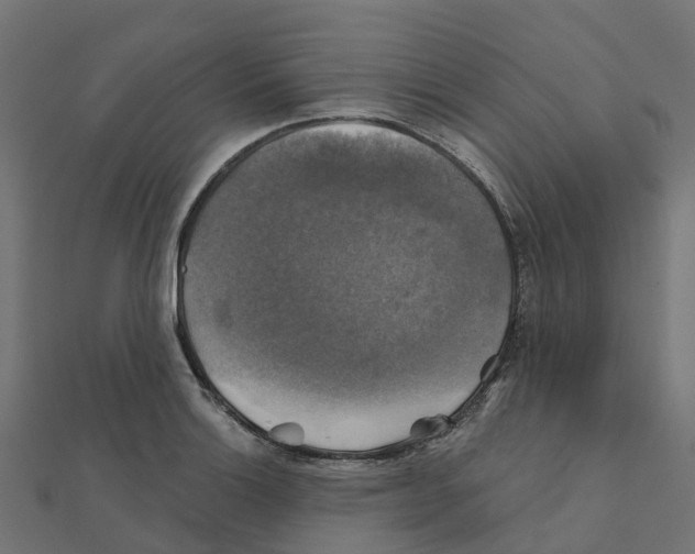 X0000111241132200907301301