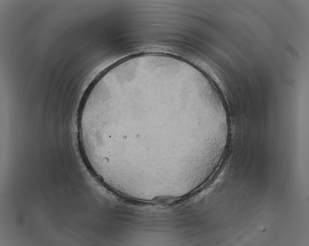 X0000111241133200907301301
