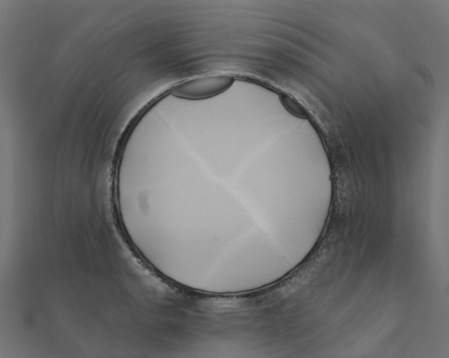 X0000111241134200907301301